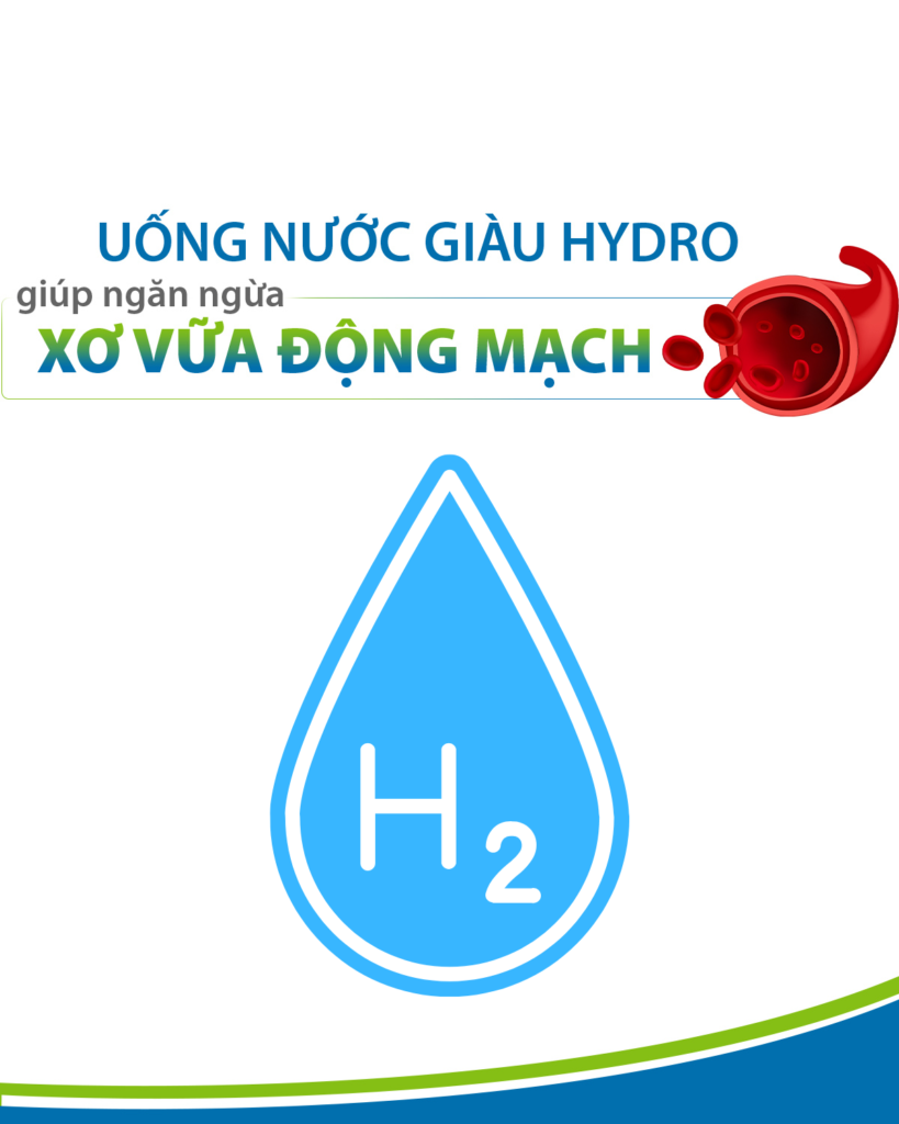 xơ vữa động mạch