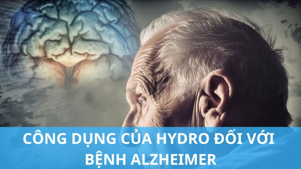 Hydro được chứng minh là có tiềm năng trong hỗ trợ cải thiện bệnh Alzheimer