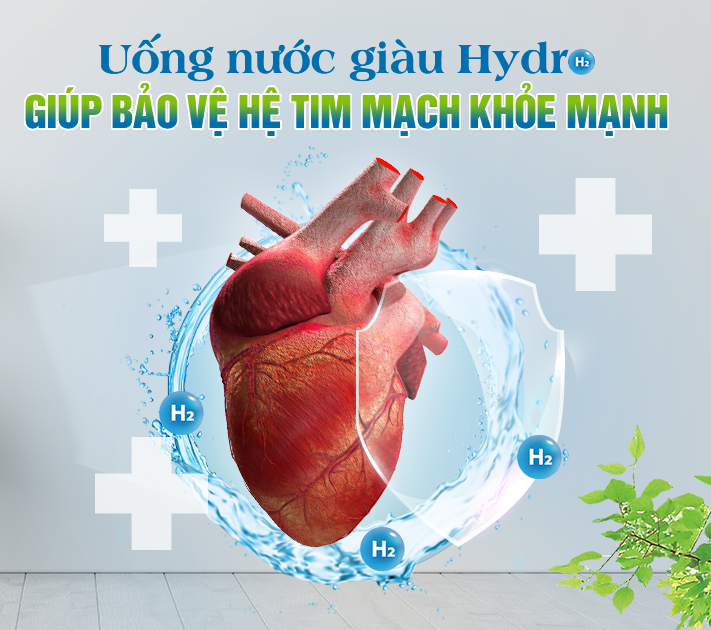 Uống nước giàu Hydro hỗ trợ bảo vệ hệ tim mạch khỏe mạnh